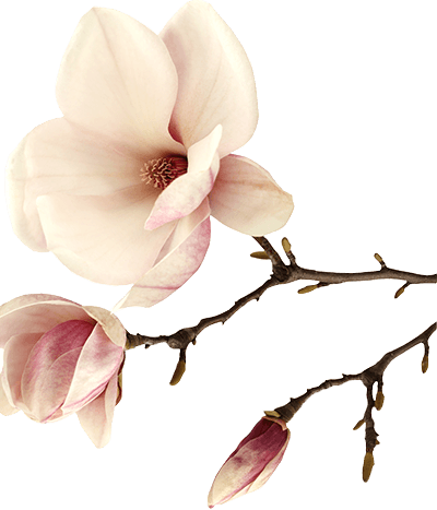 massage delivery bangkok3